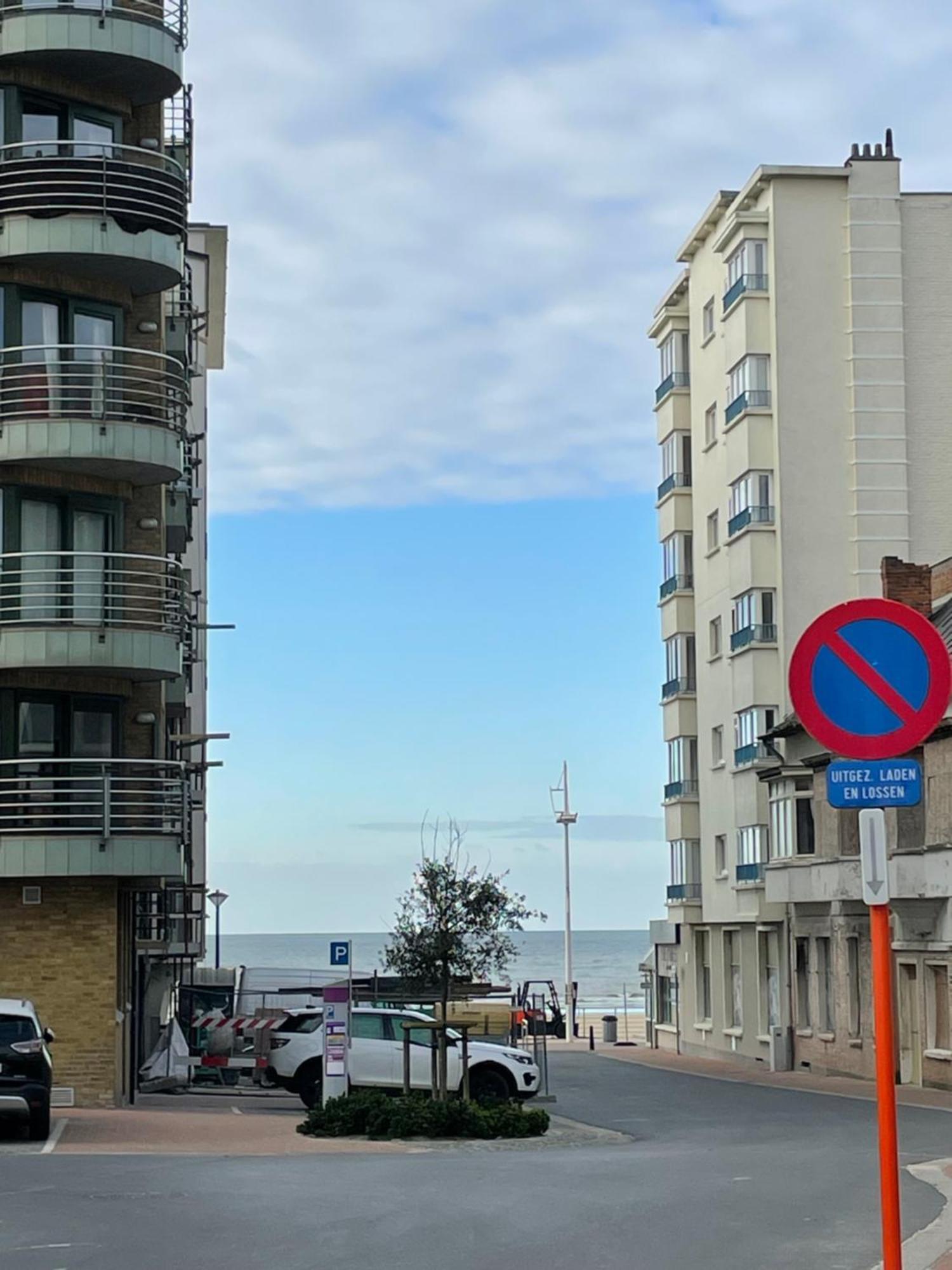 Appt Pablo Met Prive-Garage, Vlakbij Zee, In Koksijde-Bad公寓 外观 照片